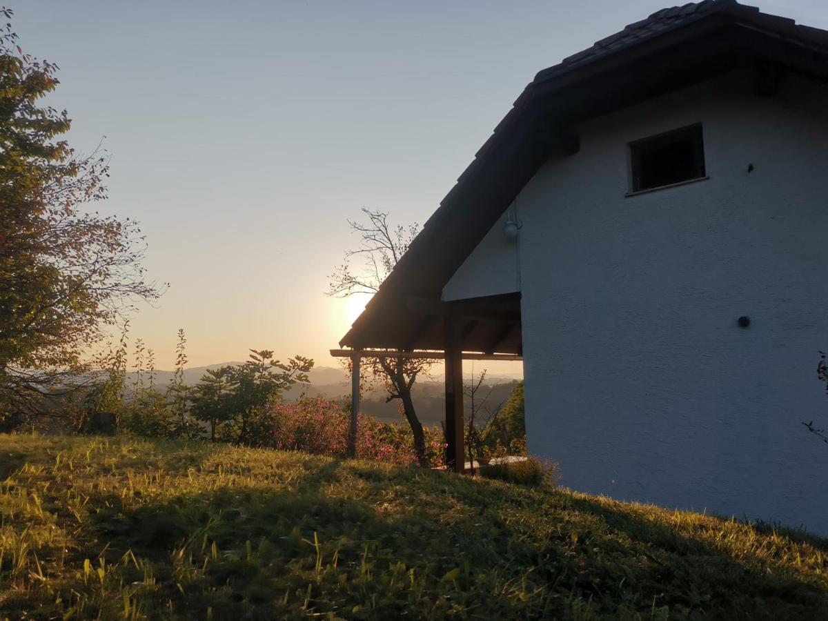 Apartma Pusa Pesnica pri Mariboru Εξωτερικό φωτογραφία