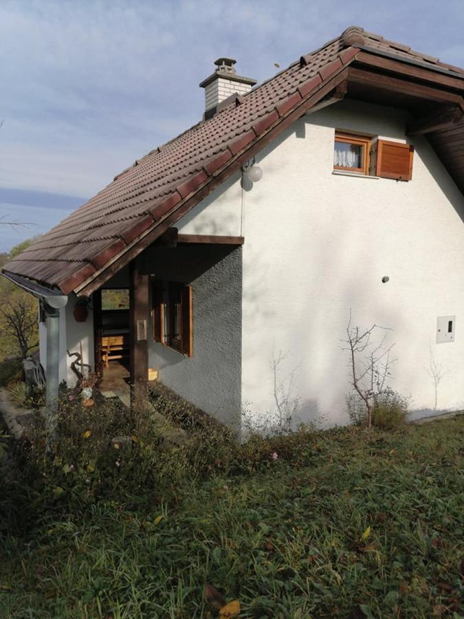 Apartma Pusa Pesnica pri Mariboru Εξωτερικό φωτογραφία